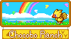 Adopt a Chocobo by Chocobo Ranch